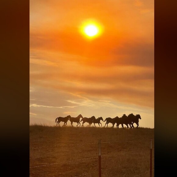 sunshineryan773